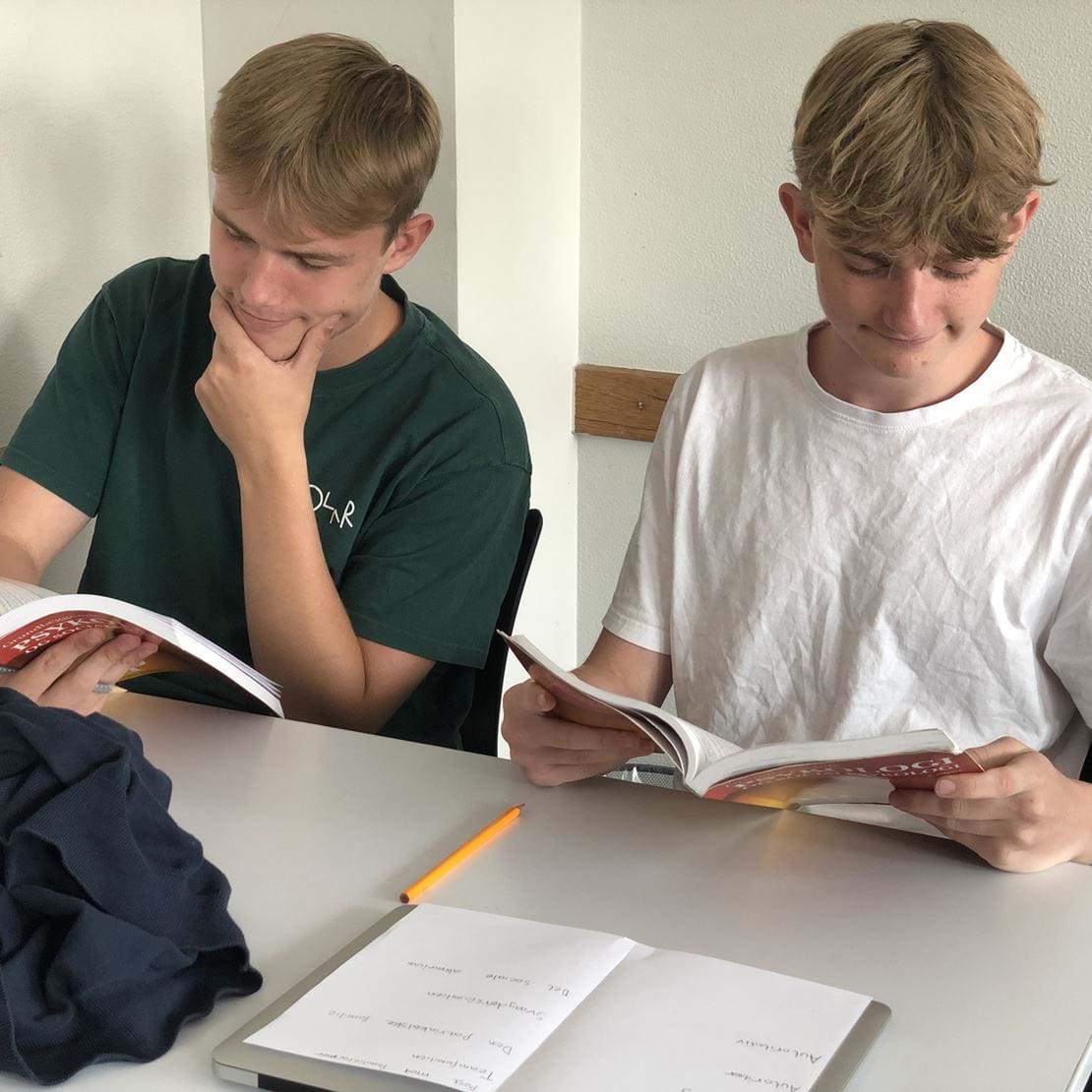 To drenge læser i psykologibog