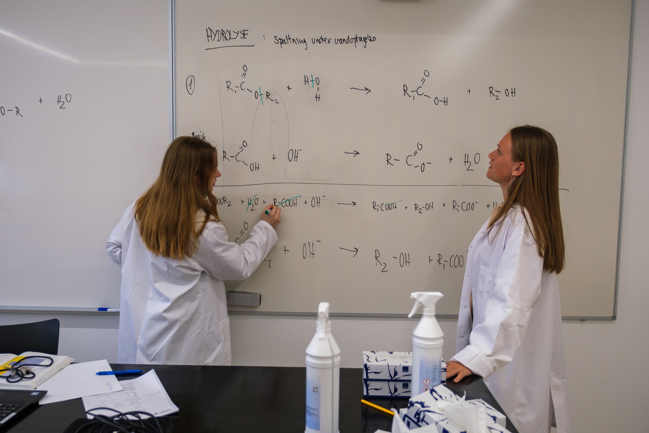 Piger ved tavlen til undervisningen