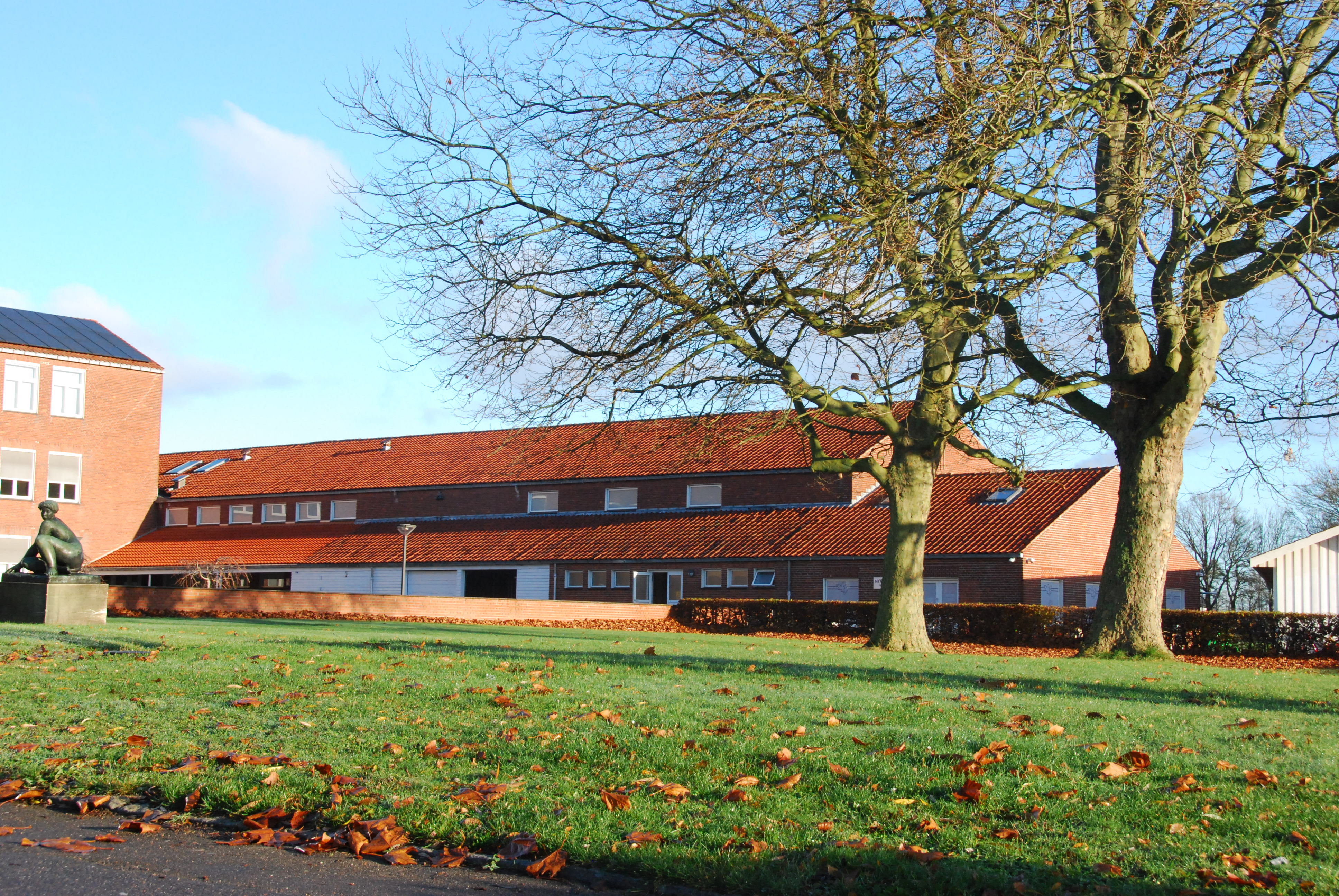 Skolen med efterårsblade på græsset