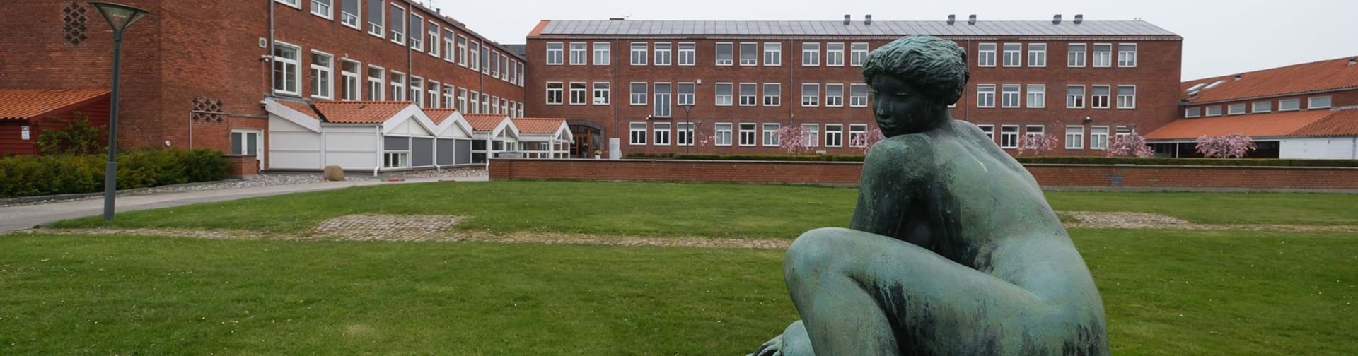 Nykøbing Katedralskoles bygninger