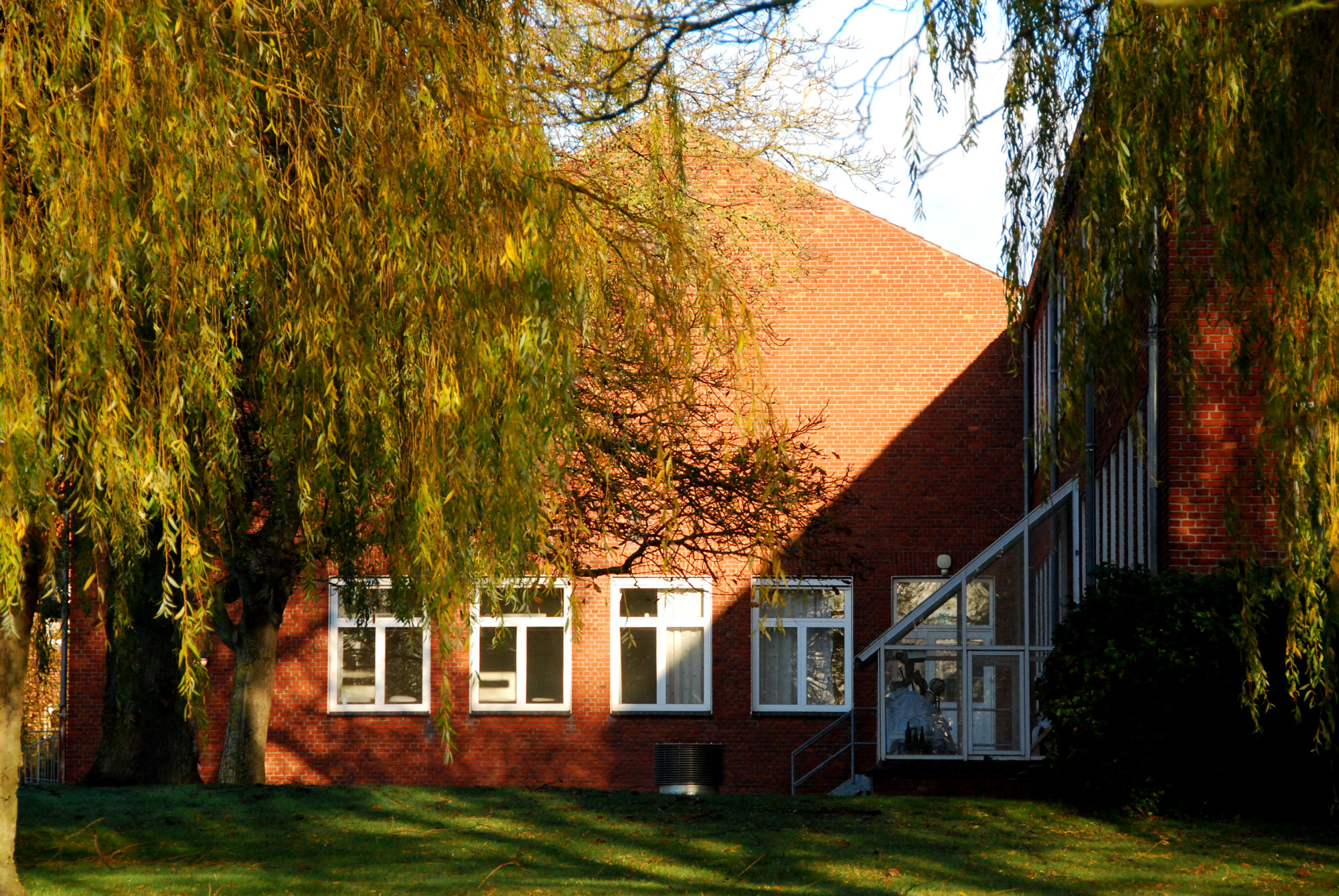 En af skolens bygninger i baggrunden med et stort træ foran