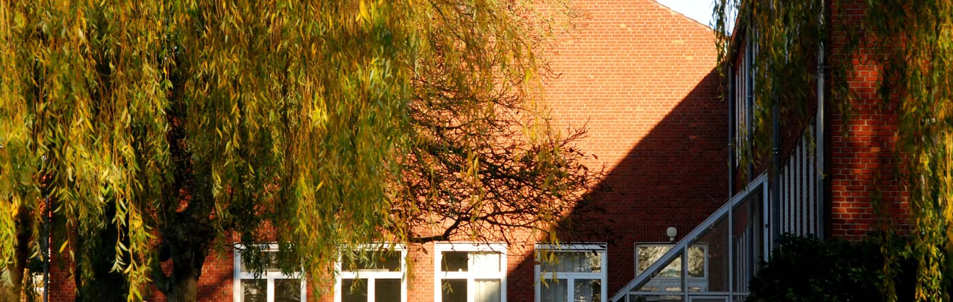 En af skolens bygninger i baggrunden med et stort træ foran