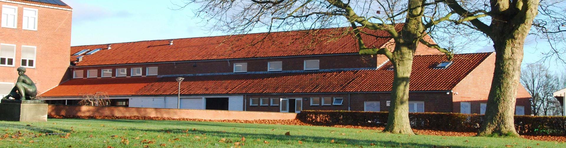 Nykøbing Katedralskoles bygninger