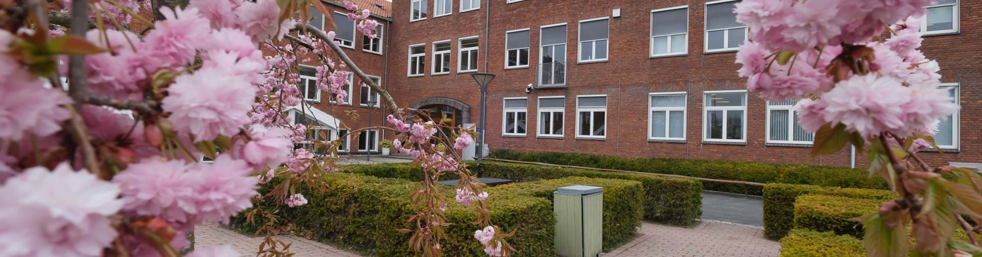 Skolens facade