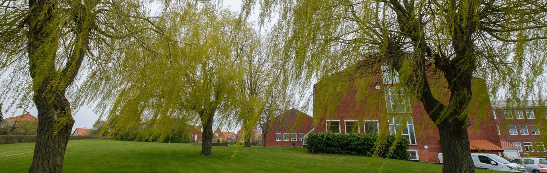 Nykøbing Katedralskole set fra parken med store træer