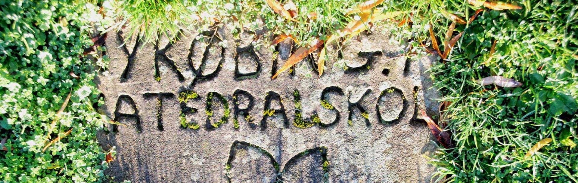 Sten i græsplæne med Nykøbing Katedralskole 500 år graveret i
