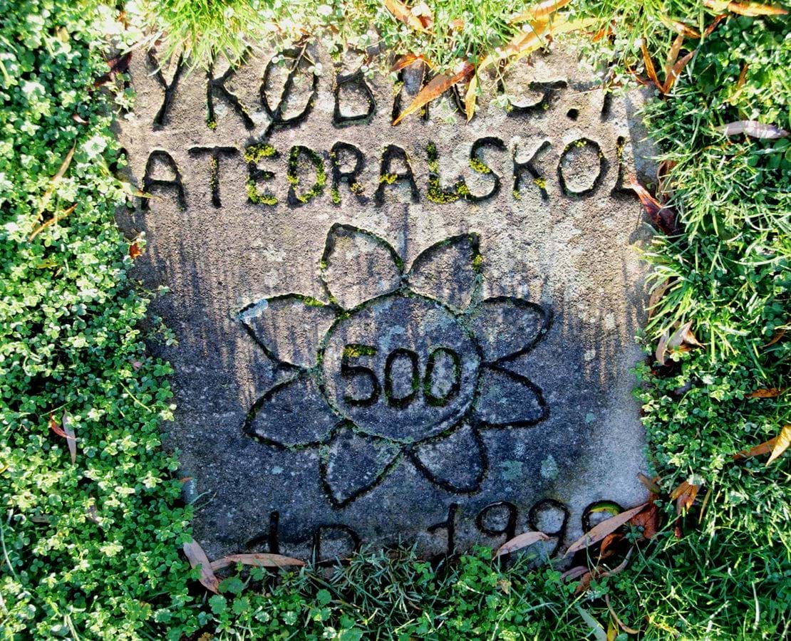 Sten i græsplæne med Nykøbing Katedralskole 500 år graveret i